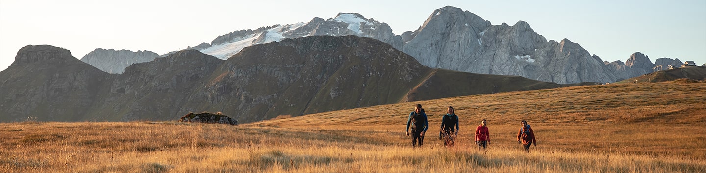 Vier Wanderer auf einer Wiese mit Bergpanorama